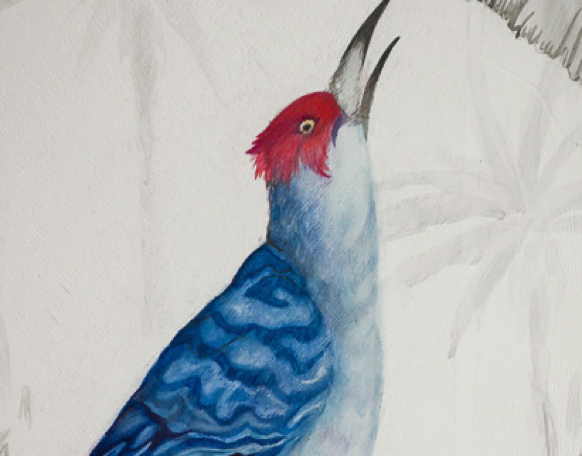 Bird wardrobe